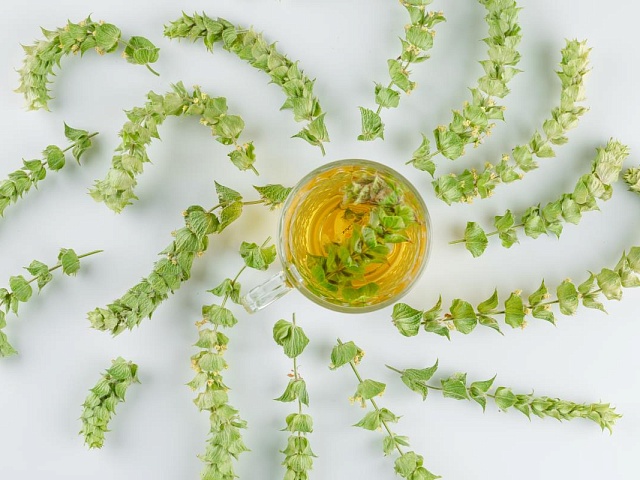 Липиды: зачем они коже и как восполнить их дефицит